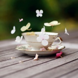 晴天