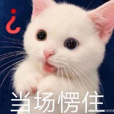 霞光漫漫的hi歌