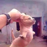 史蒂芬周
