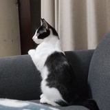 那个