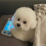 艾姆搜酷7