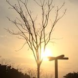 梧所味