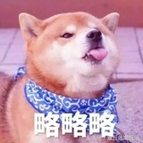 略略略