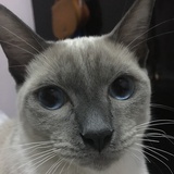 爬虫