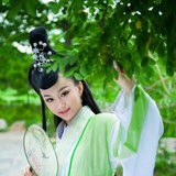 醉花荫