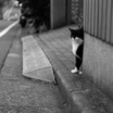 someone else