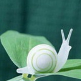 爱幻想的蜗牛