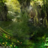 女侠归隐山林