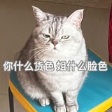 绝版的我ฅ ̳͒ˑ̫ ̳͒ฅ