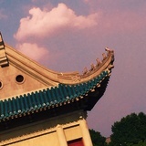 西瓜不需要英雄