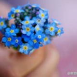 淘淘