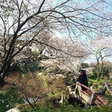 ≈   又又又夏天