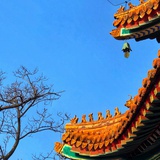 桃十七