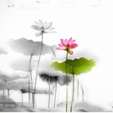 紫汀儿