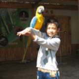 向山顶阳光出发