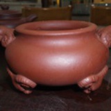 知茗铁观音