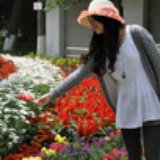 Wendan。