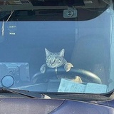 kikkii