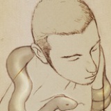 夏羯