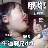 杨子慕