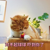 吴闷