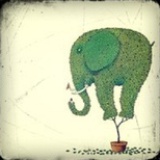 神的孩子全跳舞