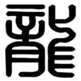 龍行天下公司