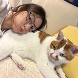 思石