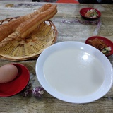 打死小海豹