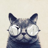 慵懒的太猫