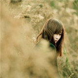 Sunshine_