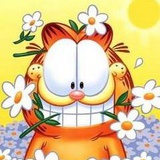 高伟功
