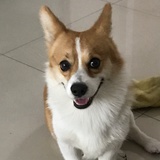 Asura