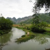 小小鱼儿游啊游