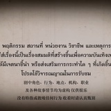 毛毛