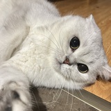 Jake Li