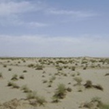 东篱村夫