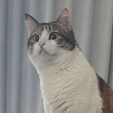 jiajinchi
