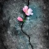 人不如新