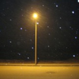 星巴Kurt