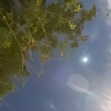 粥多粒