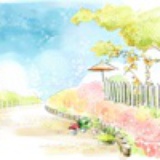 小橙子