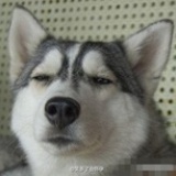Leehee