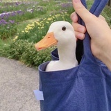 你要跳舞吗