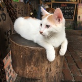 冰冻蓝玛格丽特