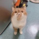 特别称谓