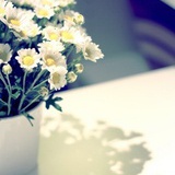 花时