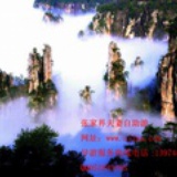zhongwang