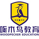 啄木鸟留学