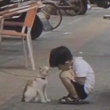蚊香小猪